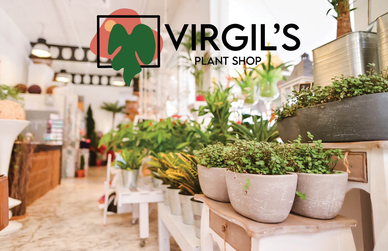 MRoach_Final-Portfolio_Virgils-Plant-Shop.jpg